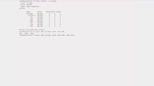 ZFS Storage Server: Setup ZFS in Proxmox from Command Line with L2ARC and LOG on SSD смотреть онлайн