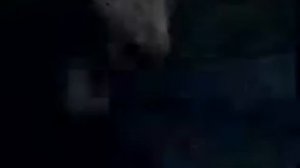 Рекламный ролик Panasonic New Viera (2008)