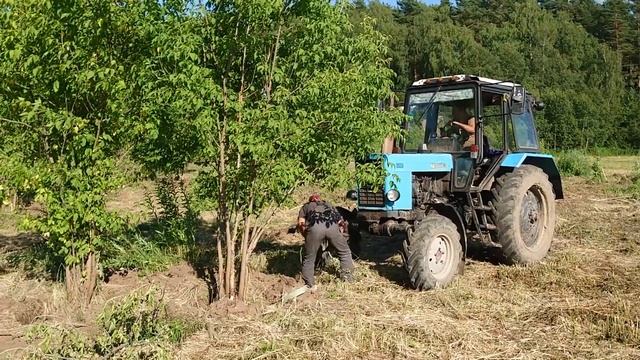 Выкорчёвывание деревьев. смотреть онлайн