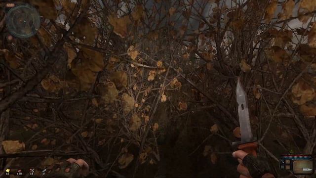S.T.A.L.K.E.R. Возвращение в Зону: Путешествие #4 смотреть онлайн