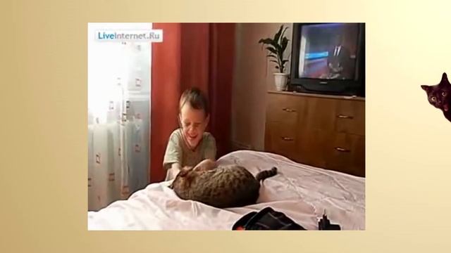 Стоит ли заводить кошку для ребёнка? смотреть онлайн