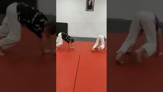 Мастер класс по дзюдо смотреть онлайн