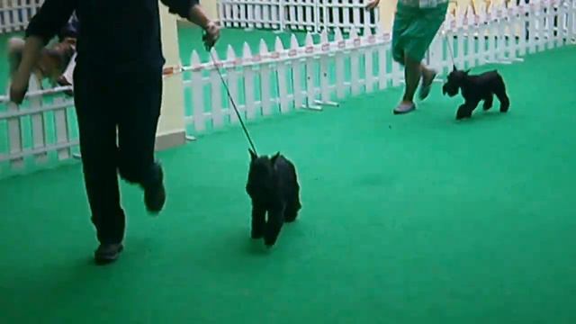 08.04.12 Выставка смотреть онлайн