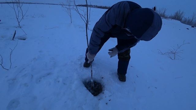 Удачная проверка переметов на налима! Рыбалка на налима на Крайнем Севере! Рыбалка 2021-2022 смотреть онлайн