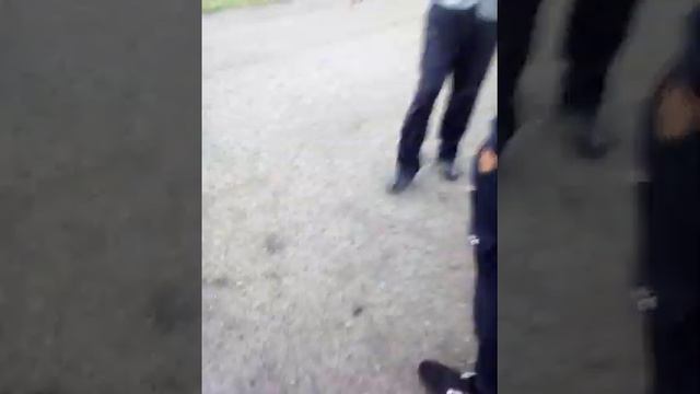 Поймал белку смотреть онлайн