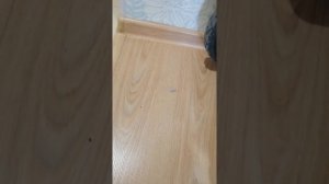 Видео о неисправности робота пылесоса (1)