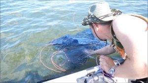 Подводный парус-якорь своими руками для сплава на судака в ДЕЙСТВИИ