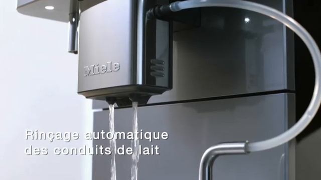 MIELE CM 6300 - Machine à expresso - Vidéo produit Vandenborre.be смотреть онлайн