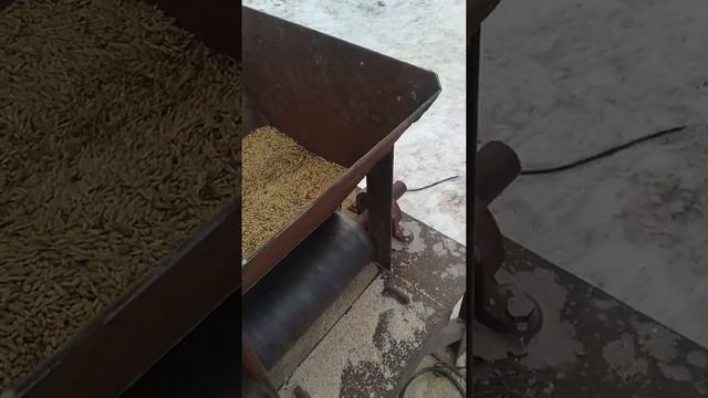 Плющилка для зерна от ВОМ трактора смотреть онлайн
