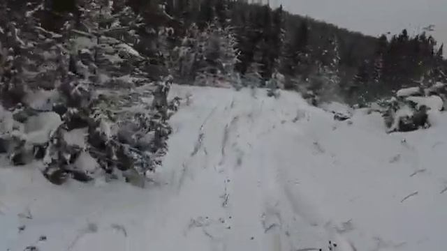 СТРЕЛОК 80го УРОВНЯ)) Охота на тетерева на лунках. #shorts. смотреть онлайн