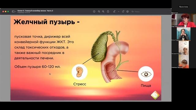 ПРО ПЕЧЕНЬ - Подхомутникова Ольга К.М.Н. смотреть онлайн