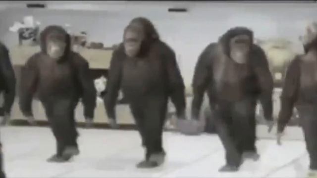 Обезьяны флексят смотреть онлайн