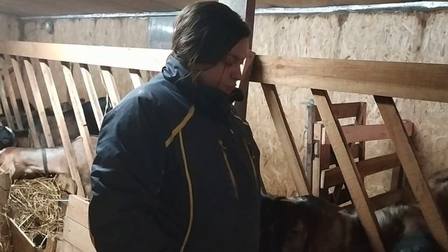 УБИРАЕМ ХОЗЯЙСТВО. принято сложное решение. смотреть онлайн