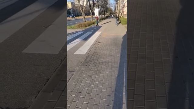 Перевозка груза на самокате смотреть онлайн