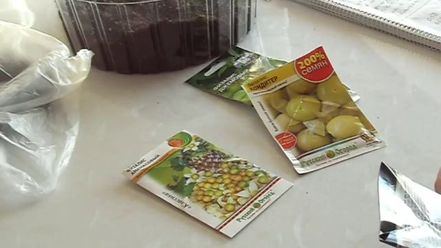 Выращиваем рассаду физалиса. смотреть онлайн