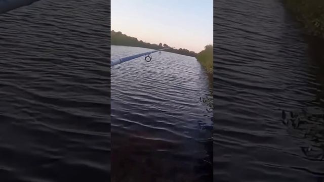 Ужас на рыбалке. Крокодил вместо рыб. смотреть онлайн