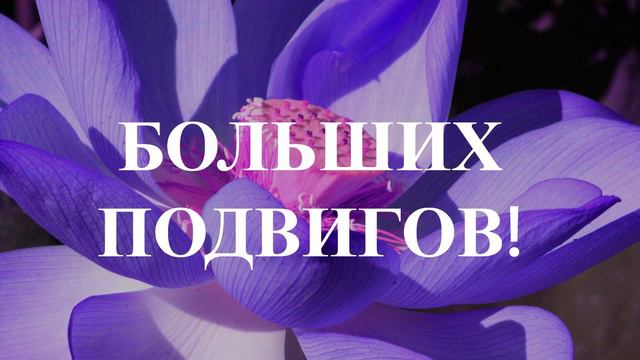 Пожелания коллеге! смотреть онлайн