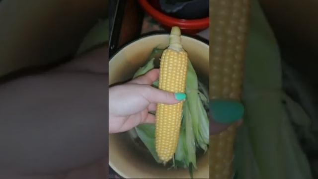 Варёная кукуруза ?. ваш повар комнатный ? обнял приподнял на место 8 смотреть онлайн