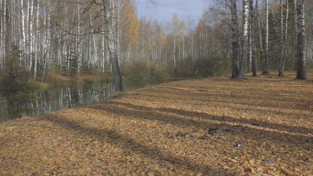 Прудок в лесу/шум ветра/осень смотреть онлайн