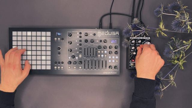 Dreadbox Polyend Medusa - Patches for Ambient, Techno and Electronica "Perseus Sound Pack" смотреть онлайн