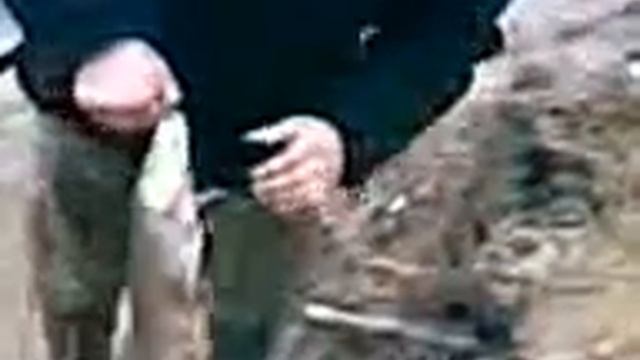 Видео047.3gp Щука для бабушки))) смотреть онлайн