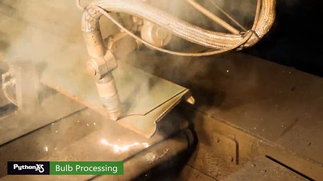 Bulb Processing - PythonX Video смотреть онлайн