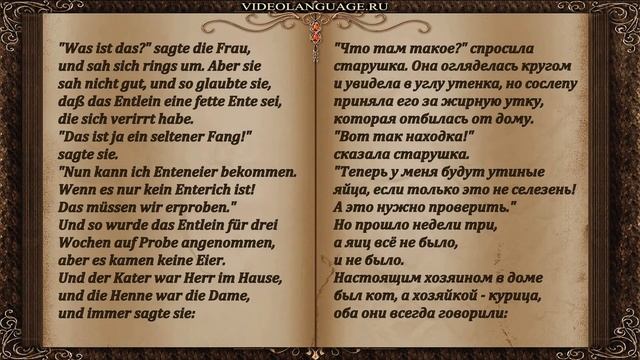 Видеокнига 