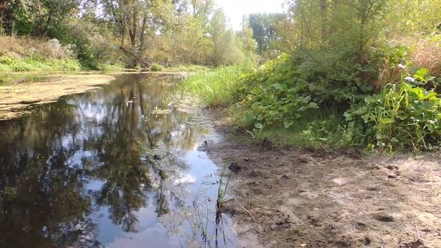 Орель. Пляж в с. Канавы. смотреть онлайн