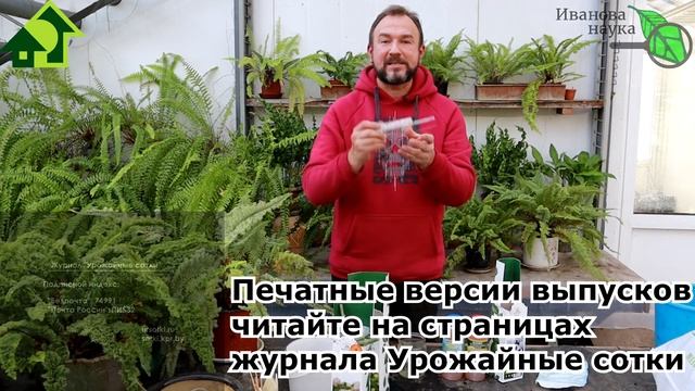 УКОЛЫ КРАСОТЫ! 100 % приживутся РОЗЫ ИЗ МАГАЗИНА. Вот как надо сохранить саженцы до посадки! смотреть онлайн