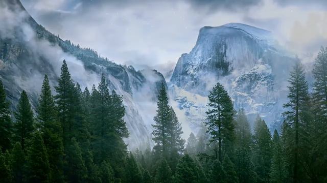 Хэа фъелла смотреть онлайн