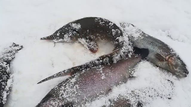 Итоги дня! смотреть онлайн