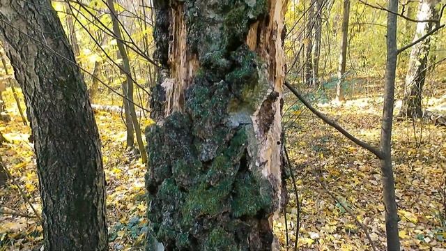 Экшн-камера Digma DiCam 850. Тест в различных условиях.