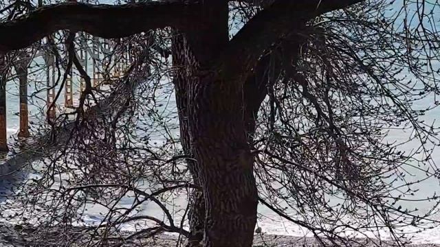 ТЕБЕ ПОЛОВИНА и МНЕ ПОЛОВИНА. смотреть онлайн