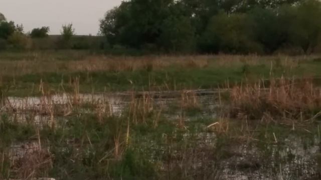 Разино 2014 смотреть онлайн