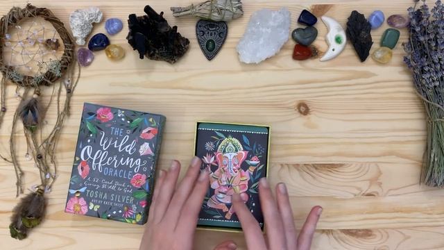 Моя Коллекция Оракулов Часть 3 / My Oracle Collection P.3 смотреть онлайн