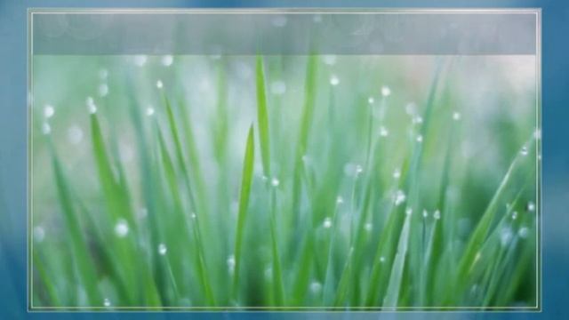 Что такое роса смотреть онлайн