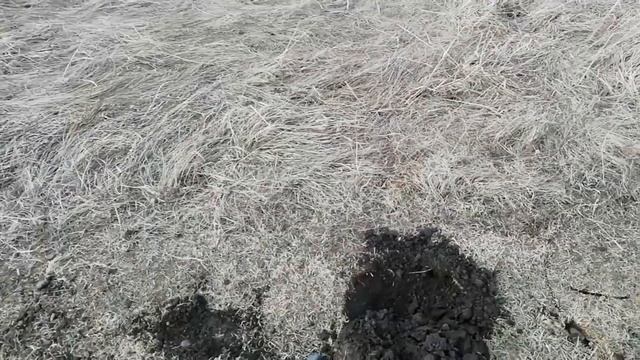 Сибирь с рыбалки на коп металла смотреть онлайн