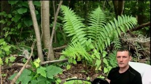 Матрица По Очищению От  Родовых Проклятий