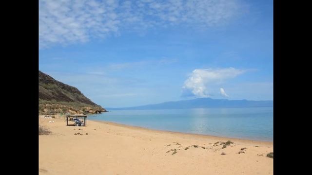 Джибути! / Djibouti! смотреть онлайн