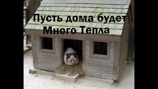 Китайский новый год смотреть онлайн