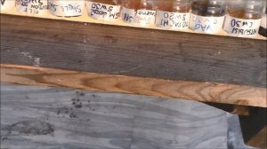 -35 мороза! Большой Тест Моторных Масел на текучесть эксперимент на морозе Shell Mobil Castrol Kixx