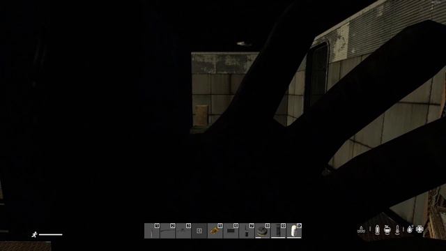 #16.Странная ночь)) влияние луны наверно#dayz #stalkerrp #dayzstalkerrp смотреть онлайн