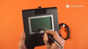 Обзор графического планшета Wacom Sign STU-430 | Ситилинк