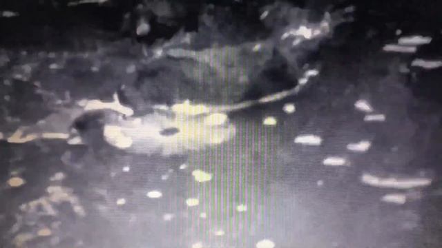 CHUSH-СУЩЕСТВОВАТЬ смотреть онлайн