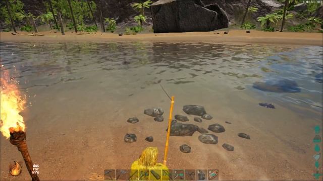 Рыба в Руках