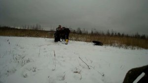 Отстрел патронов 30-06 (бюджетных) на кучность, брак Новосибирск