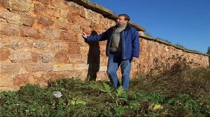 Сергей Трояновский о Великом Новгороде. видеоархив 2006г.№1