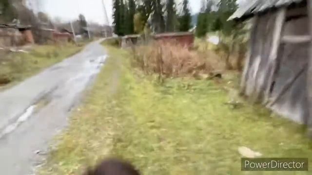 Прогулка на пони (лошади) по лесу смотреть онлайн