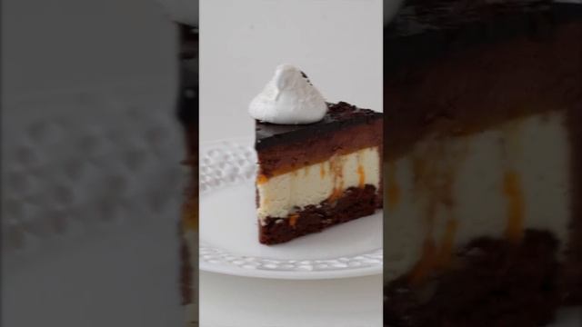 Домашние Животные и Их Уход