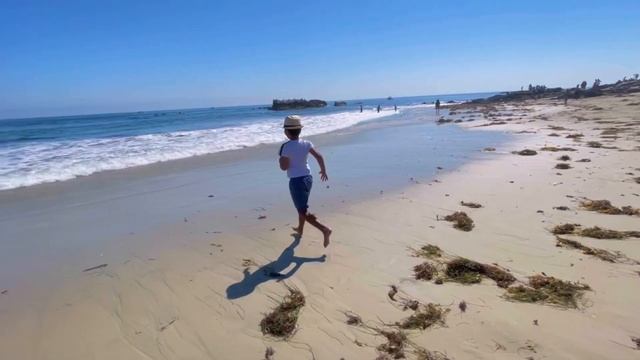 Америка! Жизнь в Калифорнии Каникулы в Калифорнии! Лагуна Бич и Ресторан The Cliff смотреть онлайн